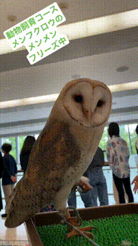 OCカメラサムネイル画像