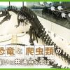 ＴＣＡ東京ＥＣＯ動物海洋専門学校 恐竜と爬虫類の違いと共通点を学ぼう