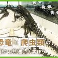 ＴＣＡ東京ＥＣＯ動物海洋専門学校 恐竜と爬虫類の違いと共通点を学ぼう