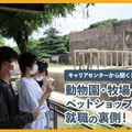 ＴＣＡ東京ＥＣＯ動物海洋専門学校 動物園・牧場・ペットショップの就職の裏側！