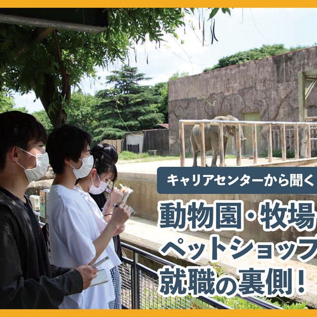 ＴＣＡ東京ＥＣＯ動物海洋専門学校 動物園・牧場・ペットショップの就職の裏側！1