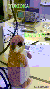 OCカメラサムネイル画像