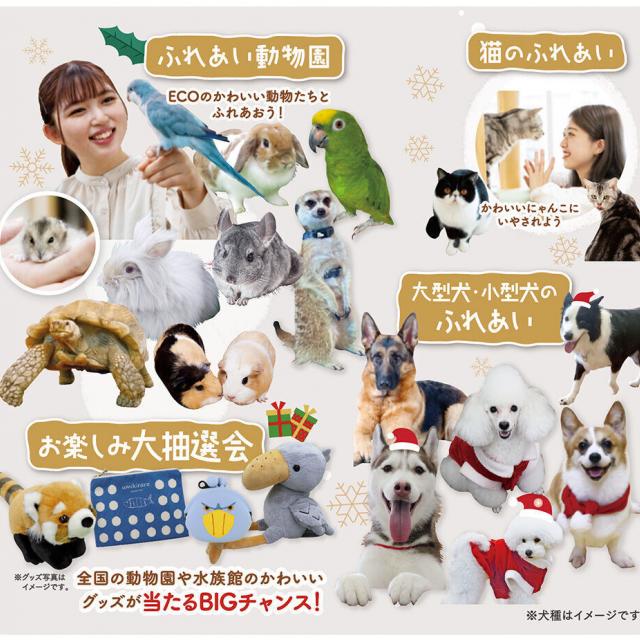 福岡ＥＣＯ動物海洋専門学校 アニマルクリスマスパーティー1