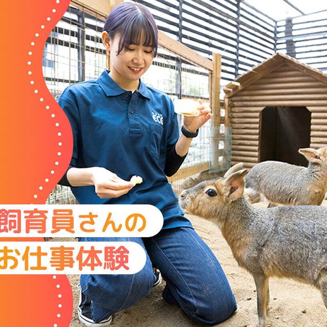 大阪ＥＣＯ動物海洋専門学校 飼育員さんのお仕事体験1