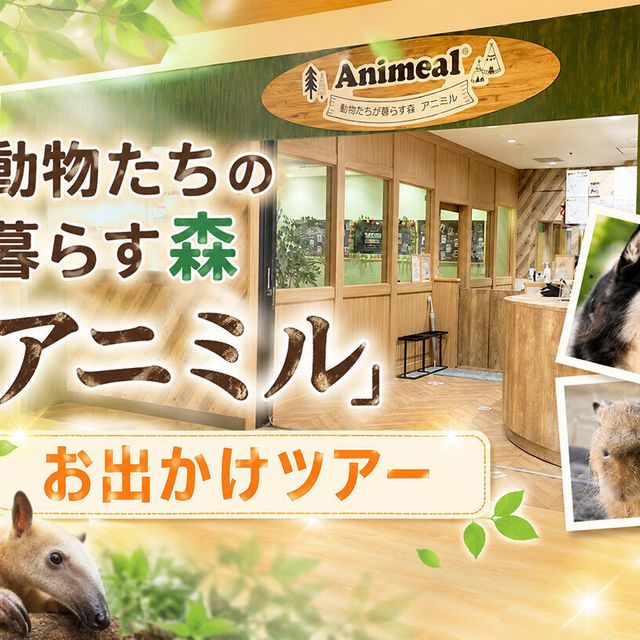 ＴＣＡ東京ＥＣＯ動物海洋専門学校 【定員30名】動物たちの暮らす森「アニミル」お出かけツアー1