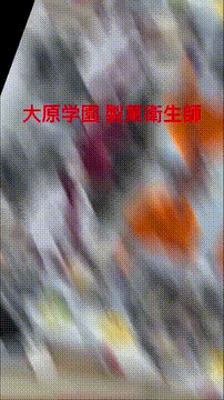 OCカメラサムネイル画像