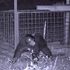 東京環境工科専門学校 『動物の行動を調べる』体験授業を同時開催！1