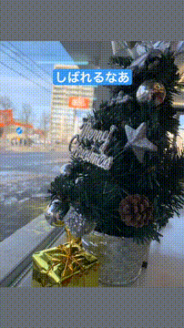 OCカメラサムネイル画像