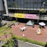 SAGABI オープンキャンパス2025の詳細