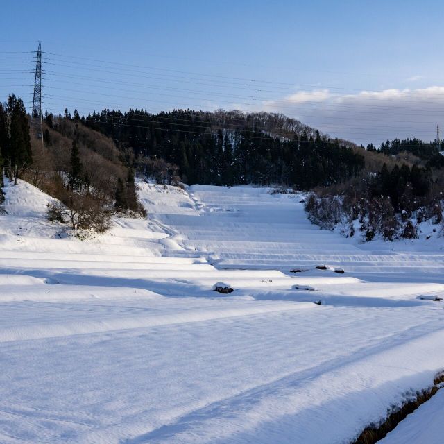 東京環境工科専門学校 『冬に寝る虫・起きる虫』特別授業を同時開催！2