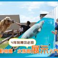 ＴＣＡ東京ＥＣＯ動物海洋専門学校 動物園・水族館展示入門