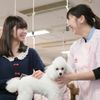 東京愛犬専門学校 愛犬総合学科　犬猫に関する知識を総合的に学べる学校の体験入学