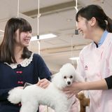 愛犬総合学科　総合的に学び、犬のプロを目指す学校の体験入学の詳細