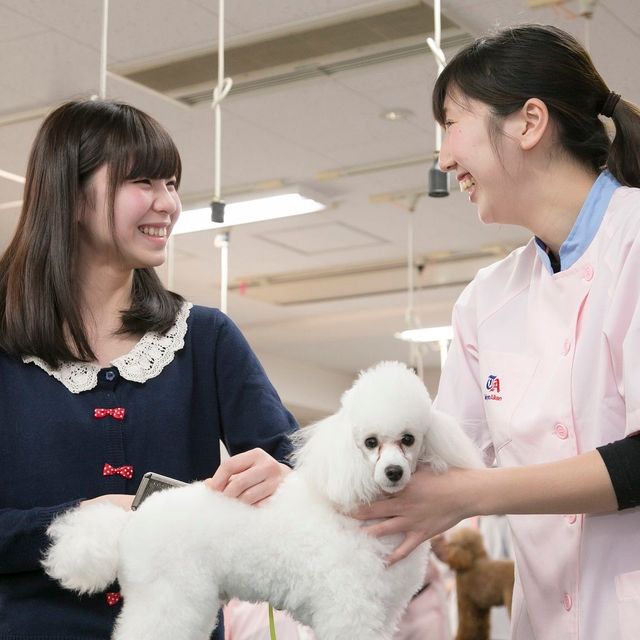 東京愛犬専門学校 愛犬総合学科　犬猫に関する知識を総合的に学べる学校の体験入学1