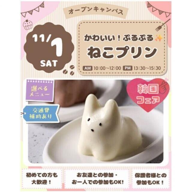 仙台スイーツ＆カフェ専門学校 【体験＆試食】★11月は韓国フェア★プルプル！ねこプリン★1