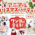 福岡ＥＣＯ動物海洋専門学校 アニマルクリスマスパーティー