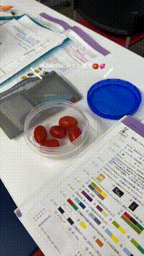 OCカメラサムネイル画像