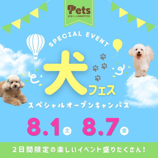 新潟ペット動物専門学校 【高校1.2年生】夏休みスペシャルイベント★犬フェス！1