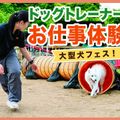 大型犬フェス！ドッグトレーナー体験／ＴＣＡ東京ＥＣＯ動物海洋専門学校