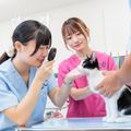名古屋ＥＣＯ動物海洋専門学校 【動物看護師】動物看護師の業務を体験しよう！