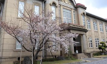 大阪樟蔭女子大学のブログインフォ一覧 33 スタディサプリ 進路