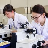 一日で学校がよくわかる！学校見学会・AO入学説明会へ☆の詳細