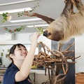 専門学校　福岡ビジョナリーアーツ 【ペット】珍しい動物のお世話をしよう