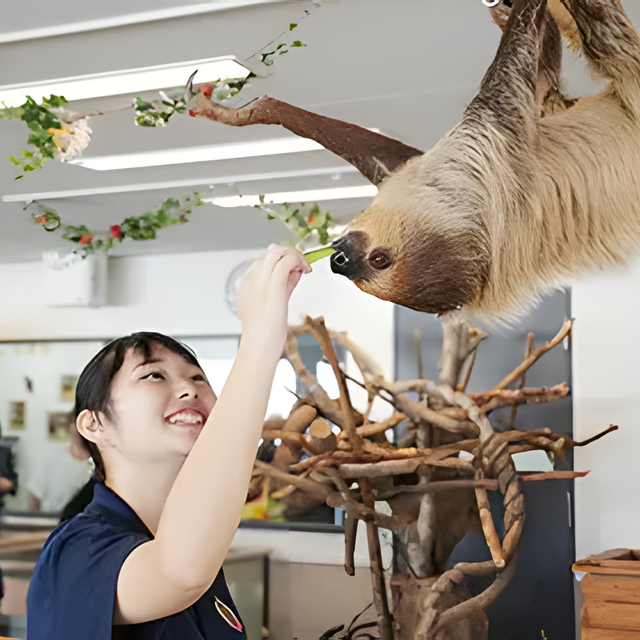 専門学校　福岡ビジョナリーアーツ 【ペット】珍しい動物のお世話をしよう1
