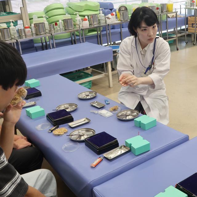 日本鍼灸理療専門学校 【木曜日開催】★施設見学もできる！個別相談★1