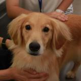 2025 学校説明会  日程一覧の詳細