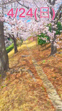 OCカメラサムネイル画像