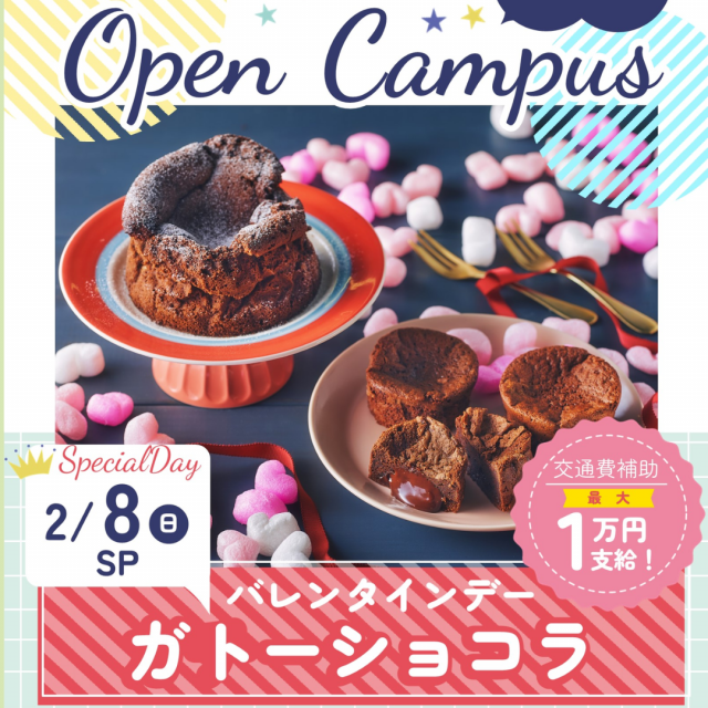 辻学園栄養専門学校 栄養士☆ガトーショコラ　スペシャル　交通費補助1