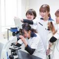 北海道どうぶつ・医療専門学校 【愛玩動物看護学科】わんこの血液検査体験