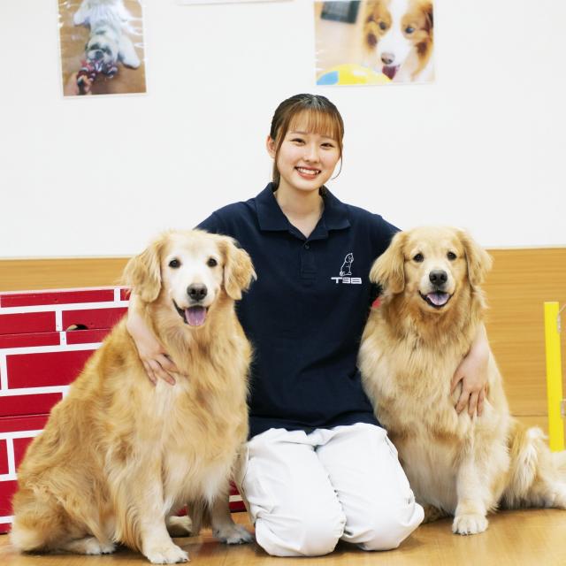 専門学校 東京ビジネス・アカデミー 大型犬と触れ合える！トレーニング体験1