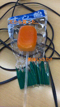 OCカメラサムネイル画像