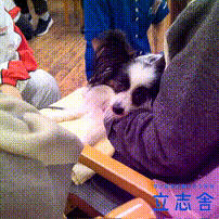 OCカメラサムネイル画像