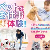 ペットのお仕事まるごと体験の詳細