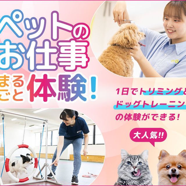 大阪ＥＣＯ動物海洋専門学校 ペットのお仕事まるごと体験1