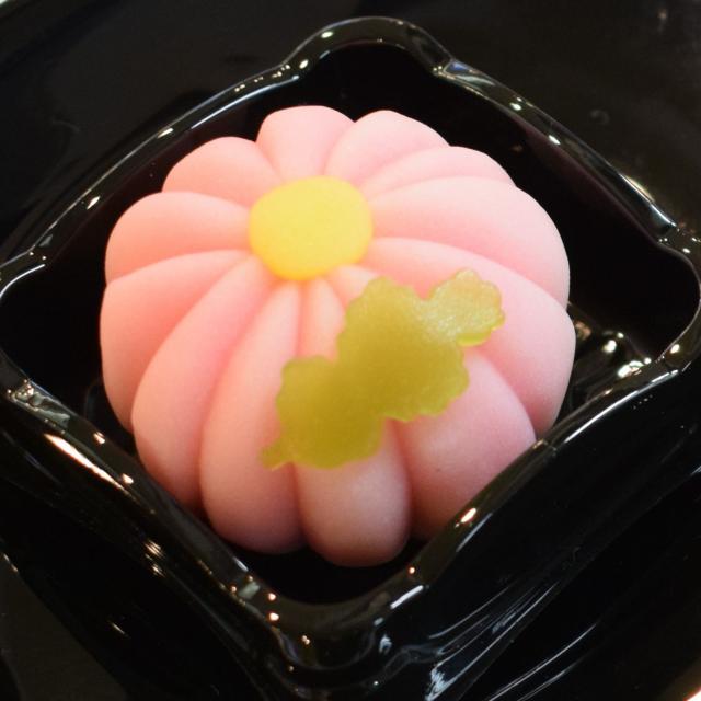 ☆★春&夏のオープンキャンパス!和菓子実習体験★☆