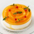 大阪調理製菓専門学校ｅｃｏｌｅ　ＵＭＥＤＡ 【製菓】オレンジのレアチーズケーキ