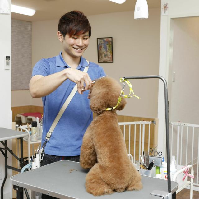 動物関係の仕事に就きたい人へオススメ 沖縄ペットワールド専門学校のオープンキャンパス情報と予約申込 スタディサプリ 進路