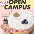 【洋菓子】チーズケーキ／国際製菓専門学校