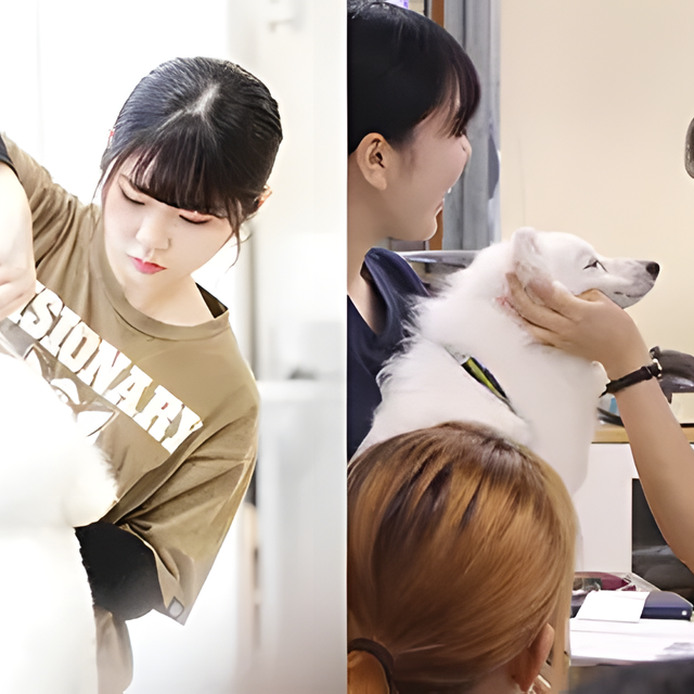 専門学校　福岡ビジョナリーアーツ 【ペット・看護】よくばりお仕事体験♪トリマー×動物看護師1