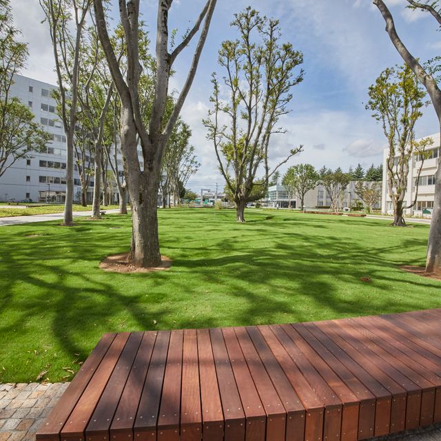 オープンキャンパス 江戸川大学のオープンキャンパス情報と予約申込 スタディサプリ 進路