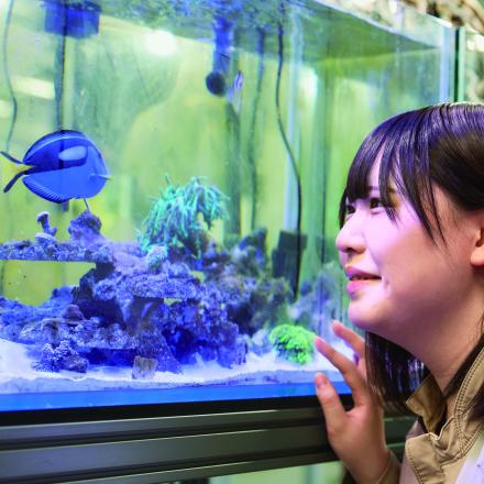 在校生レポート画像