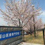 看護：高齢者の語りから人生を体験してみようの詳細