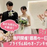 【はじめての方におすすめ】ちょこっとオーキャン！の詳細