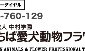 専門学校ちば愛犬動物フラワー学園のブログインフォ一覧 68 スタディサプリ 進路