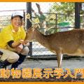 ＴＣＡ東京ＥＣＯ動物海洋専門学校 動物園展示学入門