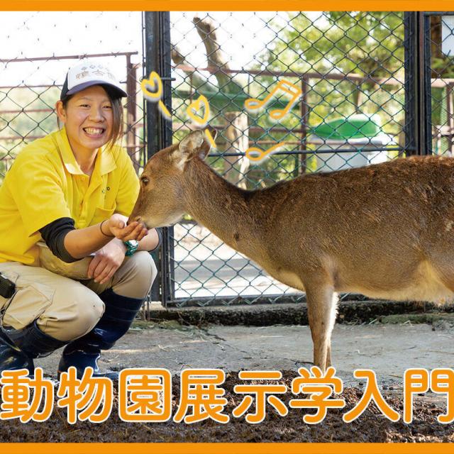 ＴＣＡ東京ＥＣＯ動物海洋専門学校 動物園展示学入門1